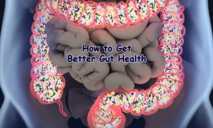 How to Get Better Gut Health: An Ultimate Guide 2022