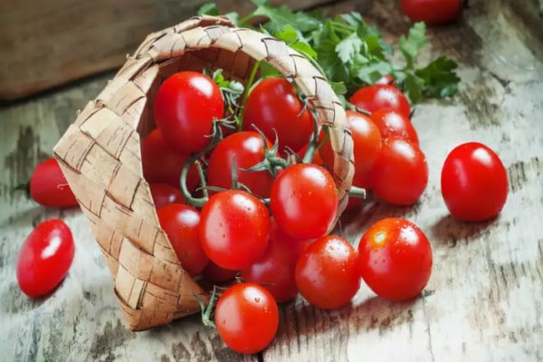 Tomatoes and Gut Health