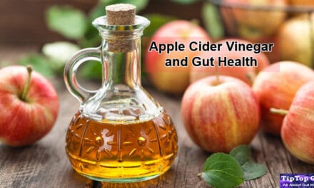 Is Apple Cider Vinegar Good for Gut Health? Studies Proved the Truth 2022