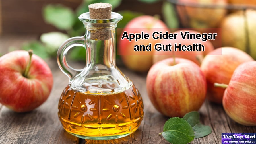 Is Apple Cider Vinegar Good for Gut Health? Studies Proved the Truth 2022