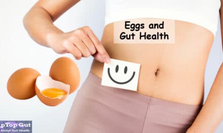 Are Eggs Good For Gut Health? Let’s Explore Truth 2022!