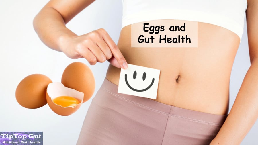 Are Eggs Good For Gut Health? Let’s Explore Truth 2022!
