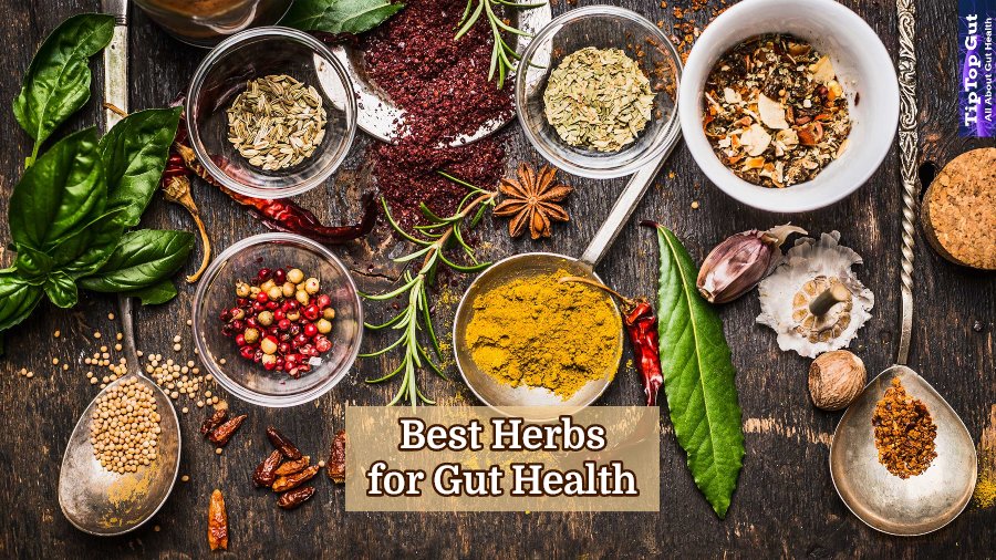Best Herbs for Gut Health: Boost Gut Health With Herbs (2022)