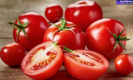 Do Tomatoes Cause Acid Reflux? True OR False Decide it Now 2022