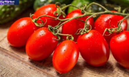 Do Tomatoes Cause Leaky Gut? Know the Truth (2022)