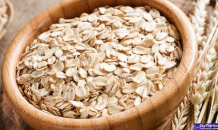 Is Oatmeal Good for Gut Health? Surprising Facts Revealed 2022
