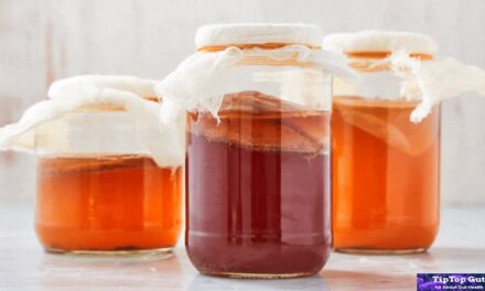What Kombucha is Best for Gut Health? Find the Truth! 2022