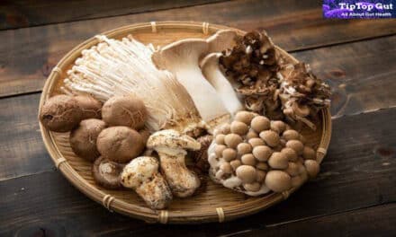 Best Mushroom for Gut Health: What Science Recommends? 2022