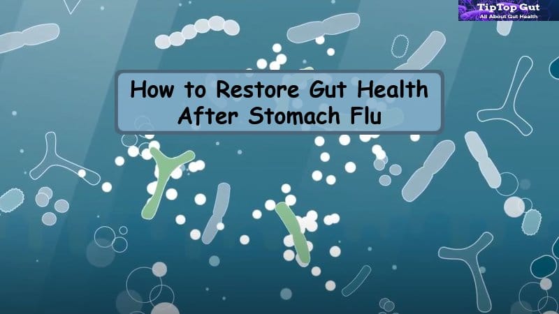 How to Restore Gut Health After Stomach Flu? Best Guide 2022