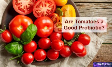 Are Tomatoes A Good Probiotic? 3 Facts You Should Know