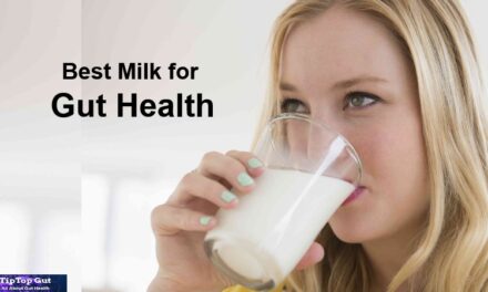 Best Milk for Gut Health: 5 Healthiest Milks for Gut Health