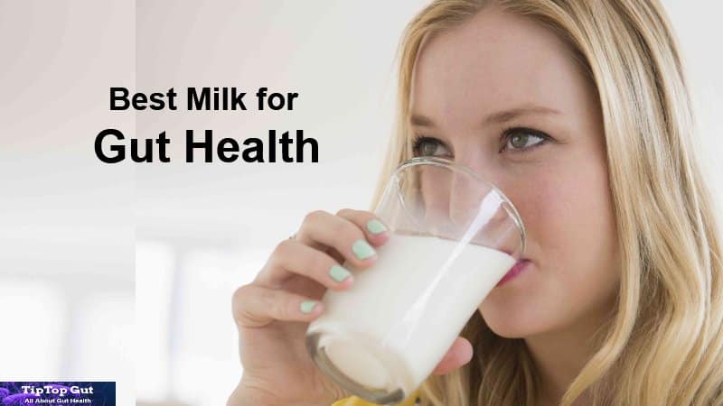 Best Milk for Gut Health: 5 Healthiest Milks for Gut Health