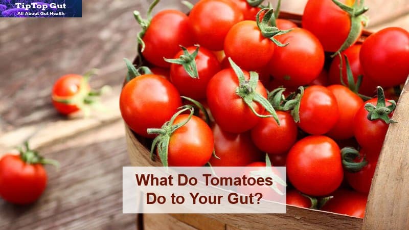 What Do Tomatoes Do to Your Gut? Cool Facts Revealed by Science 2022