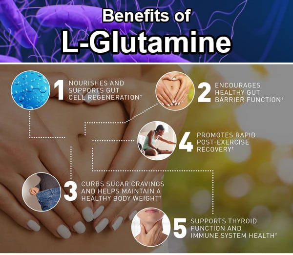 When to take L-Glutamine for gut health - Benefits of l-Glutamine