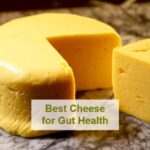 Best Cheese for Gut Health: 11 Healthiest Cheeses for Gut Health