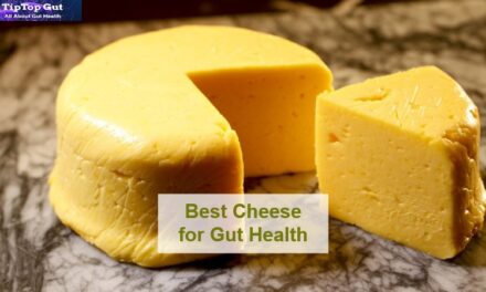 Best Cheese for Gut Health: 11 Healthiest Cheeses for Gut Health