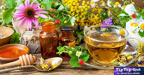 best herbal tea for gut health