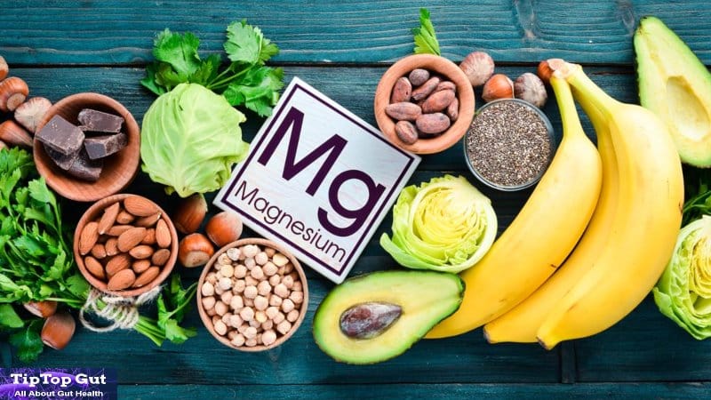 Best Magnesium for Gut Health: 13 Types of Magnesium Discussed Here!