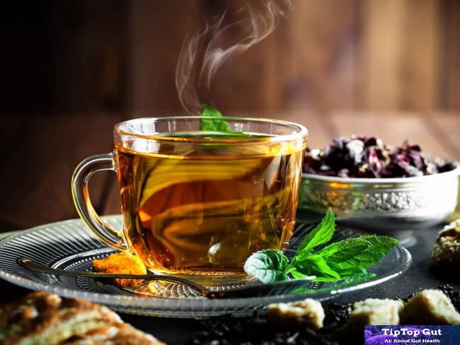 is green tea good for gut health - TipTopGut.com