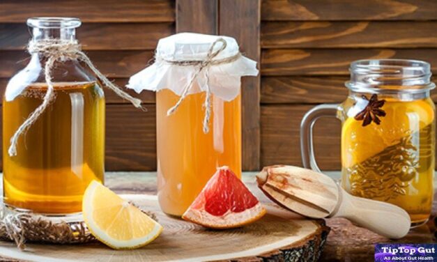 Is Kombucha Good for Gut Health? Best Science-Based Facts 2022