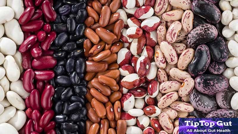Are Beans Good for Gut Health - All About Gut Health TipTopGut.com