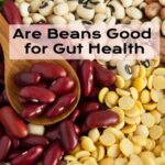 Are Beans Good for Gut Health? Best Source of Dietary Fiber [2022]