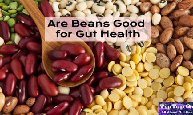 Are Beans Good for Gut Health? Best Source of Dietary Fiber [2022]