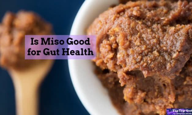Is Miso Good for Gut Health? 4 Reasons Why Miso is the Best for Digestive Health