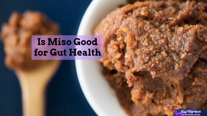 Is Miso Good for Gut Health? 4 Reasons Why Miso is the Best for Digestive Health
