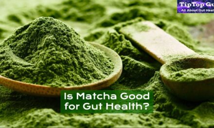 Is Matcha Good for Gut Health? Interesting Facts Unveiled [2022]
