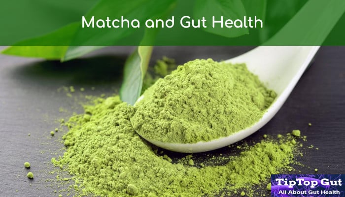 is matcha good for gut health - TipTopGut.com