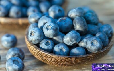 Are Blueberries Good for Gut Health? Critical Facts Revealed 2022