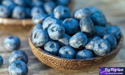Are Blueberries Good for Gut Health? Critical Facts Revealed 2022
