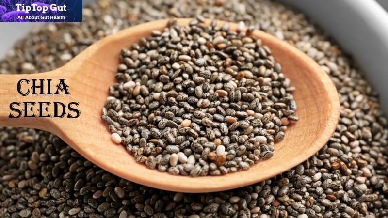 Are Chia Seeds Good For Gut Health? Amazing Facts Revealed 2022