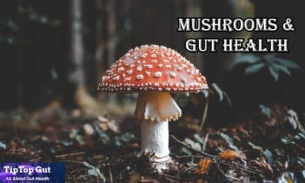 Are Mushrooms Good for Gut Health? Best Research-based Answer Revealed! 2022
