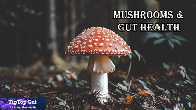 Are Mushrooms Good for Gut Health? Best Research-based Answer Revealed! 2022