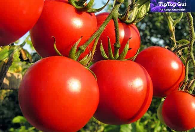 are tomatoes good for gut health - tomatoes for gut health