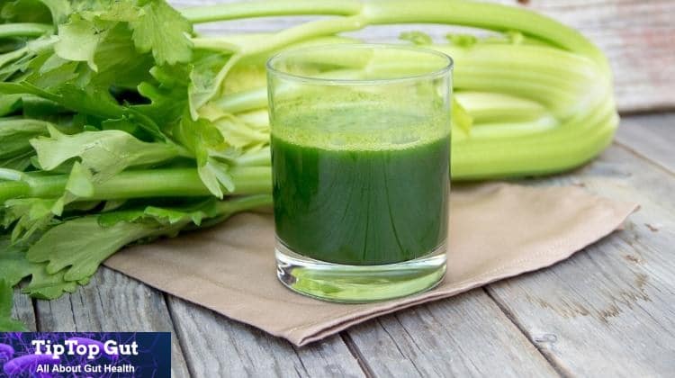 is celery juice good for gut health - TipTopGut.com