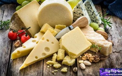 Is Cheese Good for Gut Health? Shocking Facts Unfolded 2022