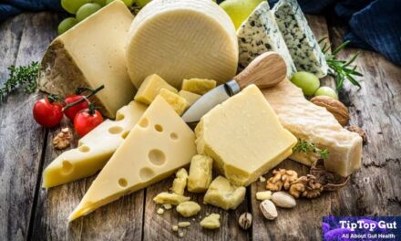 Is Cheese Good for Gut Health? Shocking Facts Unfolded 2022