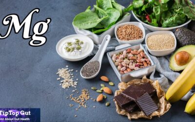 Is Magnesium Good For Gut Health? Research Revealed Amazing Facts 2022