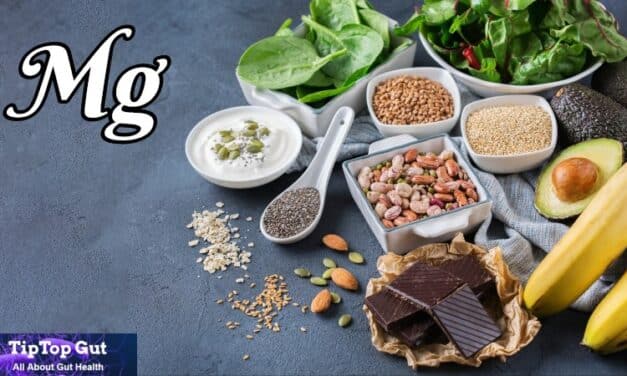 Is Magnesium Good For Gut Health? Research Revealed Amazing Facts 2022