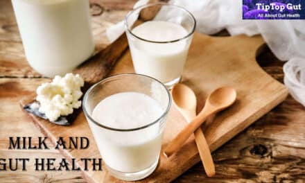 Is Milk Good for Gut Health? All Surprising Facts Revealed 2022