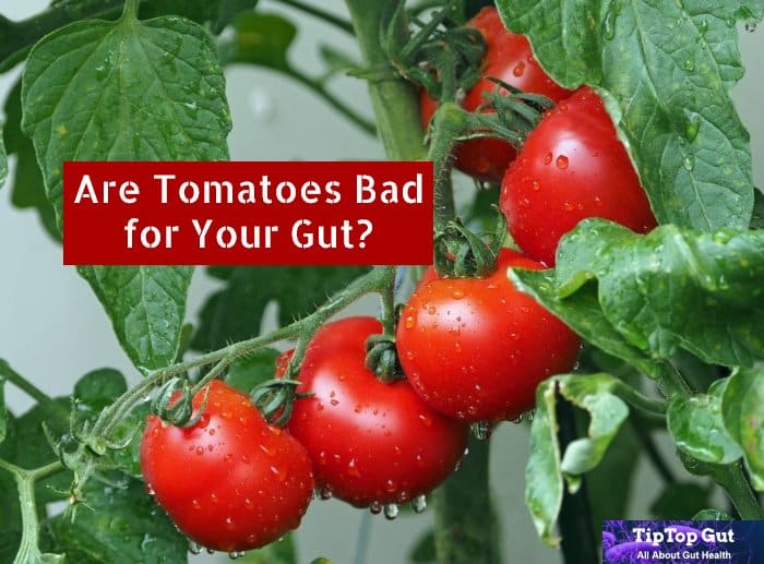 why are tomatoes bad for your gut - tomatoes bad for your gut